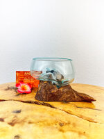 Obstschale auf Wurzel 12cm