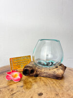 Glas auf Wurzel 10cm