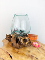 Glas auf Wurzel 15cm