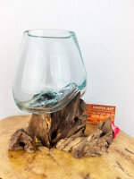 Glas auf Wurzel 15cm