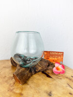 Glas auf Wurzel 12cm