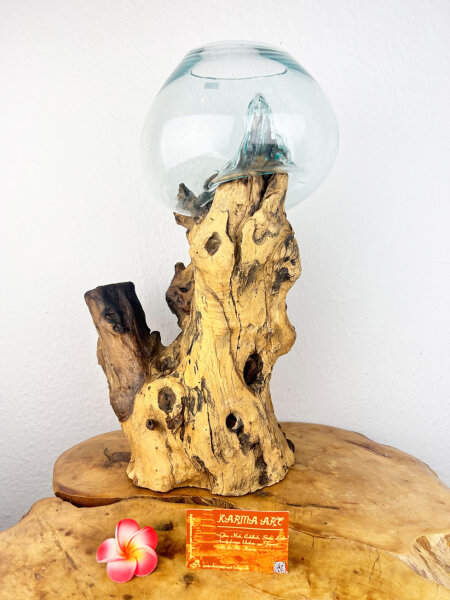 Teakwurzel mit 1 Glas, ca. 35 cm