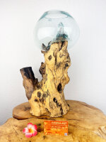 Teakwurzel mit 1 Glas, ca. 35 cm