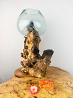 Teakwurzel mit 1 Glas, ca. 35 cm