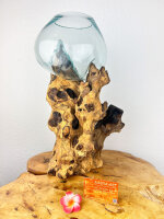 Teakwurzel mit 1 Glas, ca. 35 cm