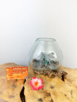 Wurzel mit Glas, ca. 15cm