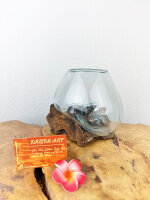 Wurzel mit Glas, ca. 15cm