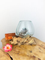 Wurzel mit Glas, ca. 13cm